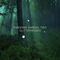 Fabienne Ambühl Trio - Glitterwoods
