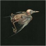 Jenny Hval & Susanna - Meshes Of Voice
