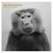 Nils Petter Molvaer Baboon Moon