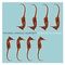 Michael Arnold Quartett Straight & Curved