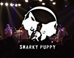 JazzrockTV #60 SNARKY PUPPY