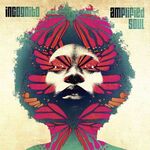 Incognito - Amplified Soul