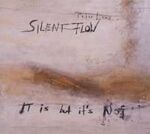 Peter Lenz / Silent Flow It Is But It's Not