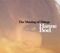 Hanne Boel The Shining Of Things
