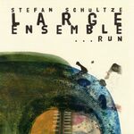 Stefan Schultze Large Ensemble