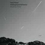 Chris Potter - Imaginary Cities