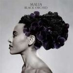 Malia Black Orchid