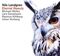Nils Landgren - Eternal Beauty