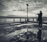 David Weiss - When Words Fail