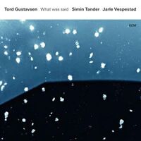 Tord Gustavsen, Simin Tander & Jarle Vespestad - What Was Said