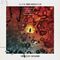 Alon Nechushtan - Venture Bound