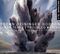 Brown, Reininger, Bodson - Clear Tears/Troubled Waters