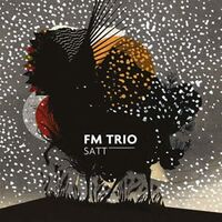 FM Trio - Satt