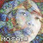 Terri Lyne Carrington The Mosaic Project