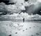 Dhafer Youssef - Birds Requiem