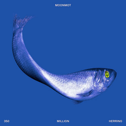 Moonmot - 350 million herring
