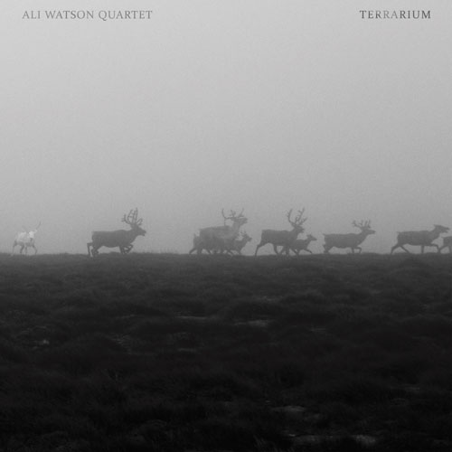 Ali Watson Quartet - Terrarium - Albumcover