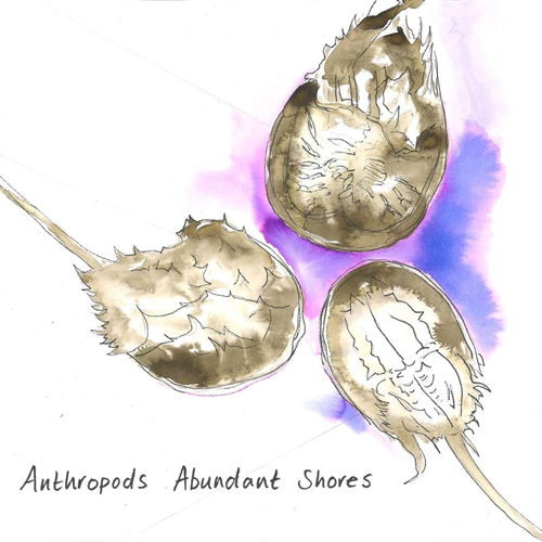 Anthropods - Abundant Shores