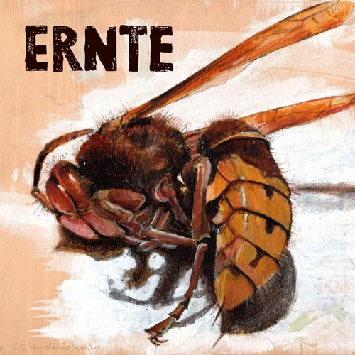 Ernte - Ernte