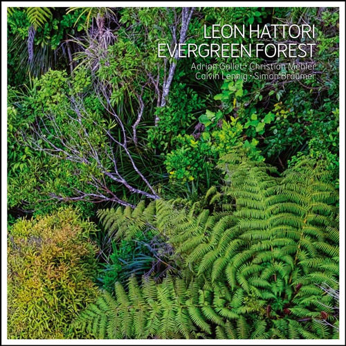 Leon Hattori - Evergreen Forest