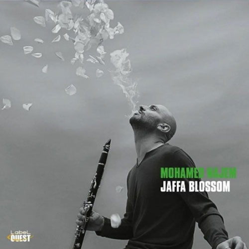 Mohamed Najem - Jaffa Blossom
