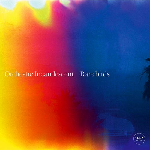Orchestre Incandescent & Sylvaine Helary - Rare Birds - Albumcover
