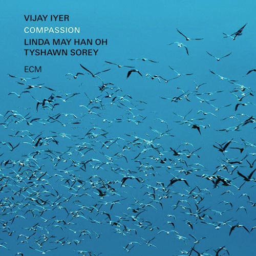 Vijay Iyer - Compassion