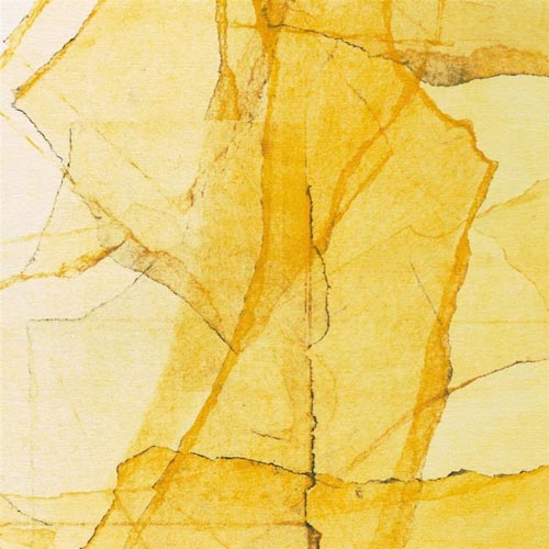 Wadada Leo Smith & Amina Claudine Myers - Central Park's Mosaics Of Reservoir, Lake, Pathways And Gardens
