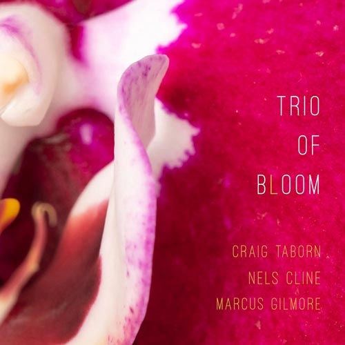 Craig Taborn, Nels Cline & Marcus Gilmore - Trio of Bloom