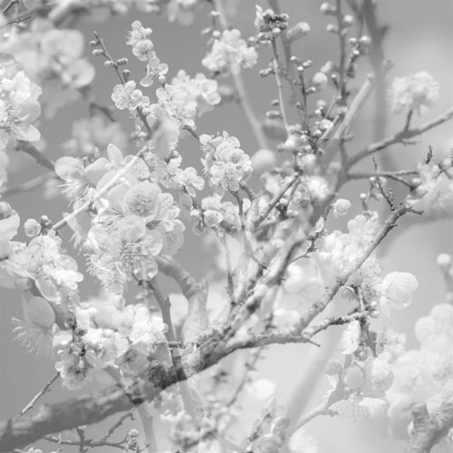 Masabumi Kikuchi Hanamichi - The Final Studio Recording Vol. II