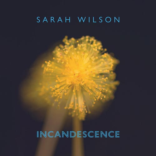 Sarah Wilson - Incandescence
