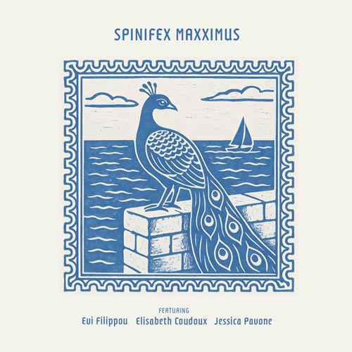 Spinifex - Maxximus