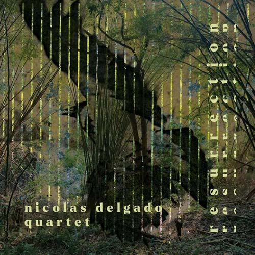 Nicolas Delgado - resurrection