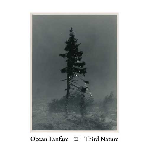 Ocean Fanfare - Third Nature - Album cover