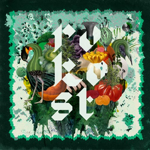 Rokost - Rokost