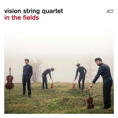 vision string quartet - in the fields
