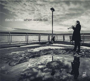 David Weiss - When Words Fail