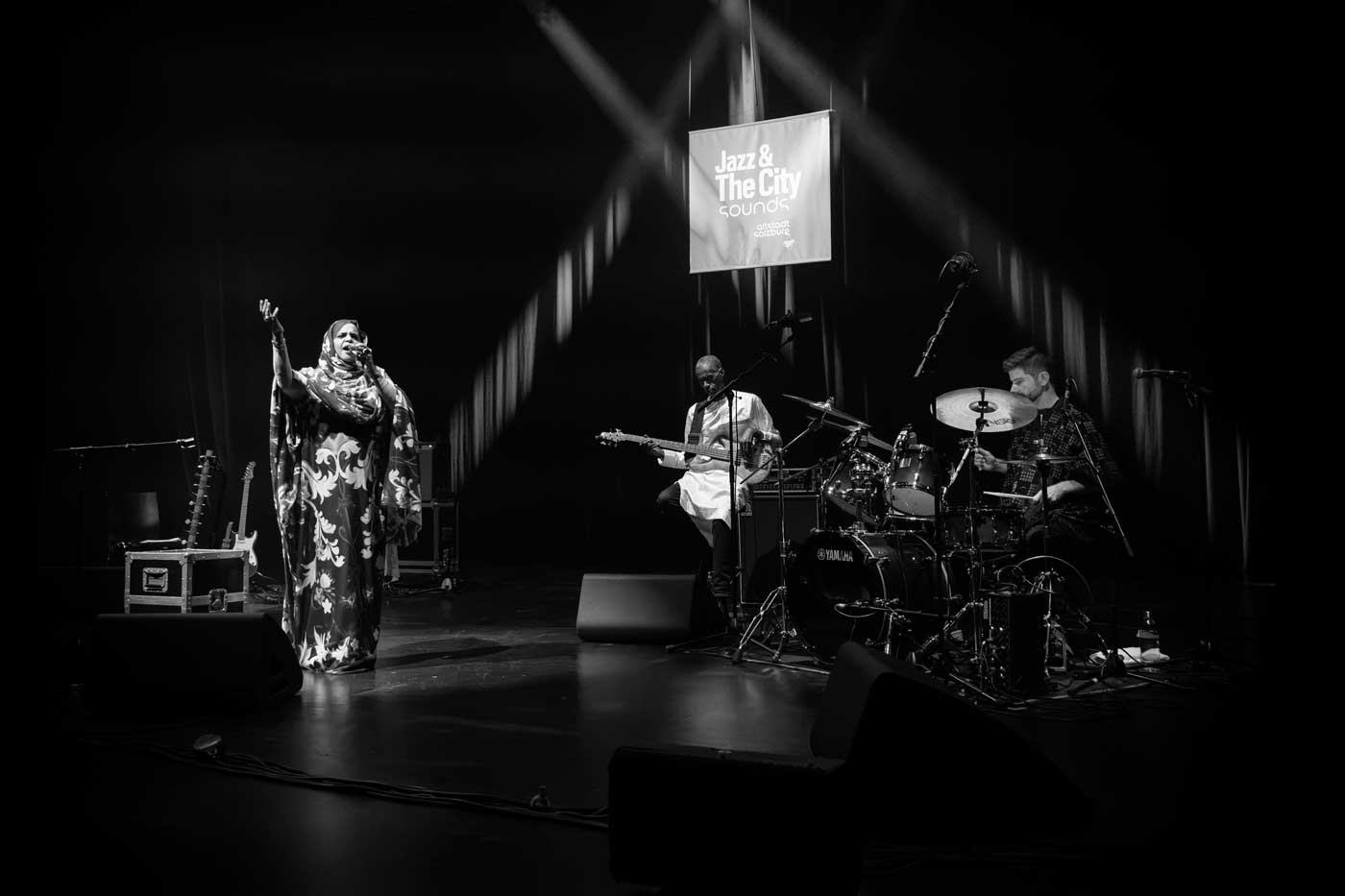 Noura Mint Seymali