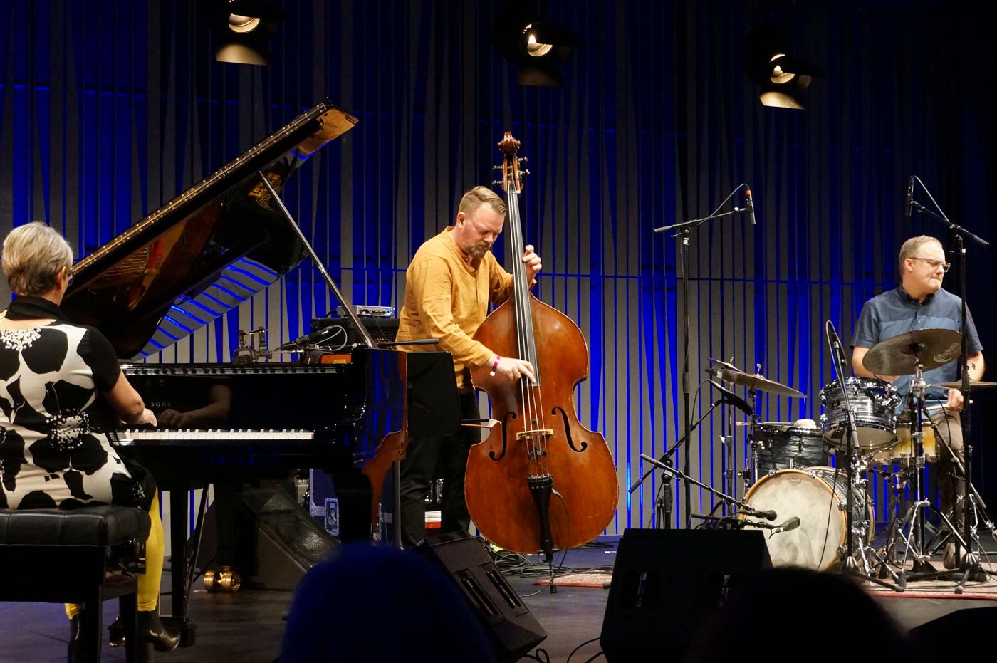 Scott McLemore Trio